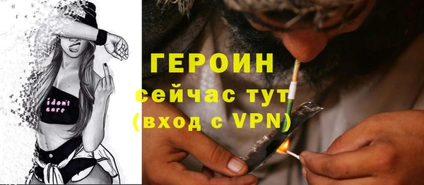 гашик Алексин