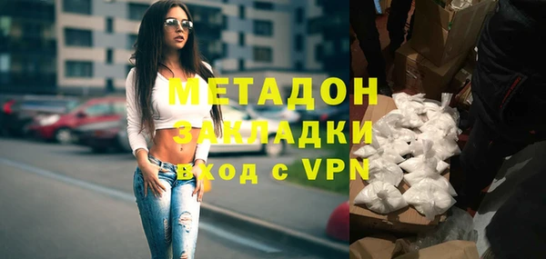 гашик Алексин