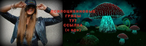 стаф Алексеевка