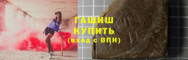 гашик Алексин