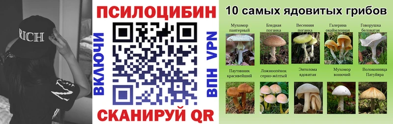Галлюциногенные грибы прущие грибы Енисейск